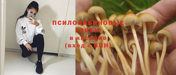 круглые Михайловск