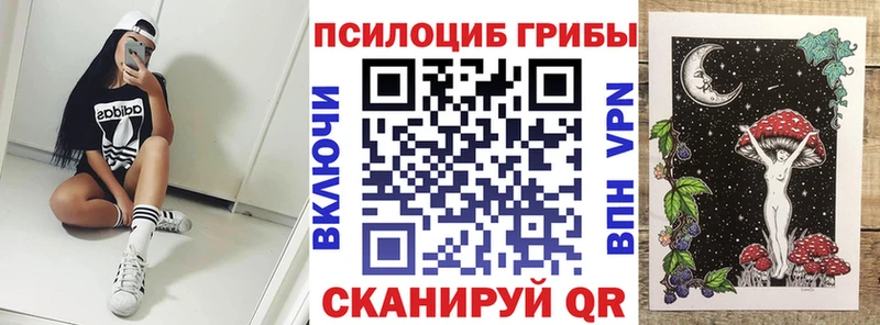 Галлюциногенные грибы Cubensis  Купить  Протвино 